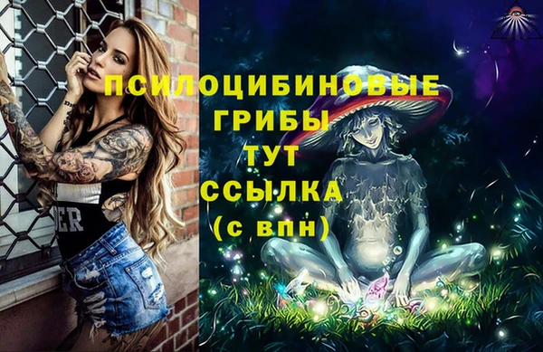 молекула духа Абинск