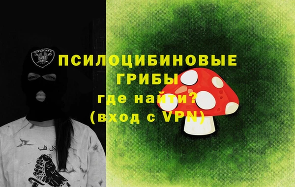 молекула духа Абинск
