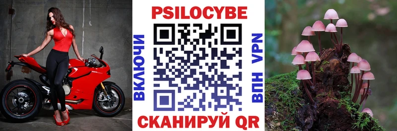 Псилоцибиновые грибы Psilocybe  Терек 
